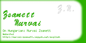 zsanett murvai business card